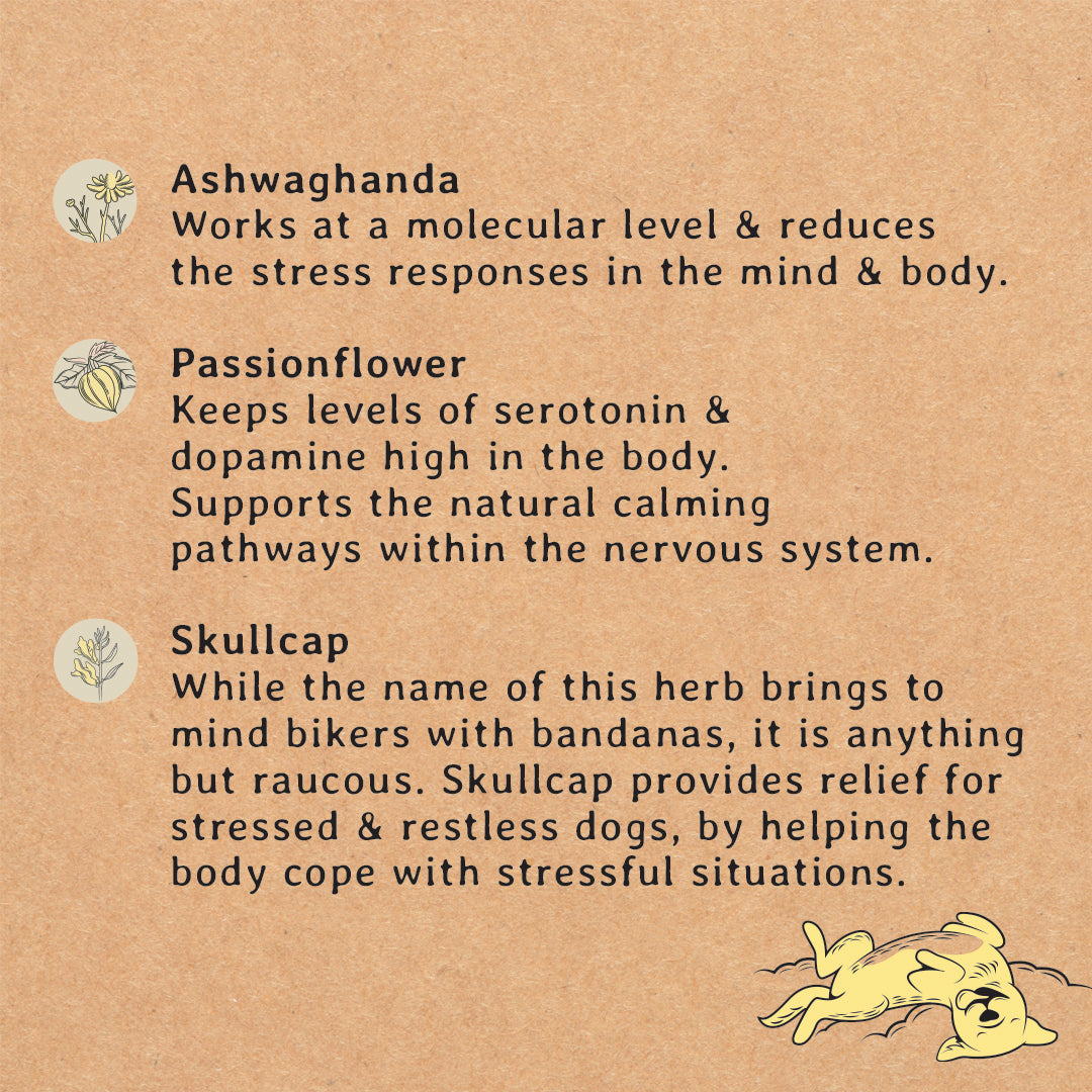 Gizzls Calming Dog Treats