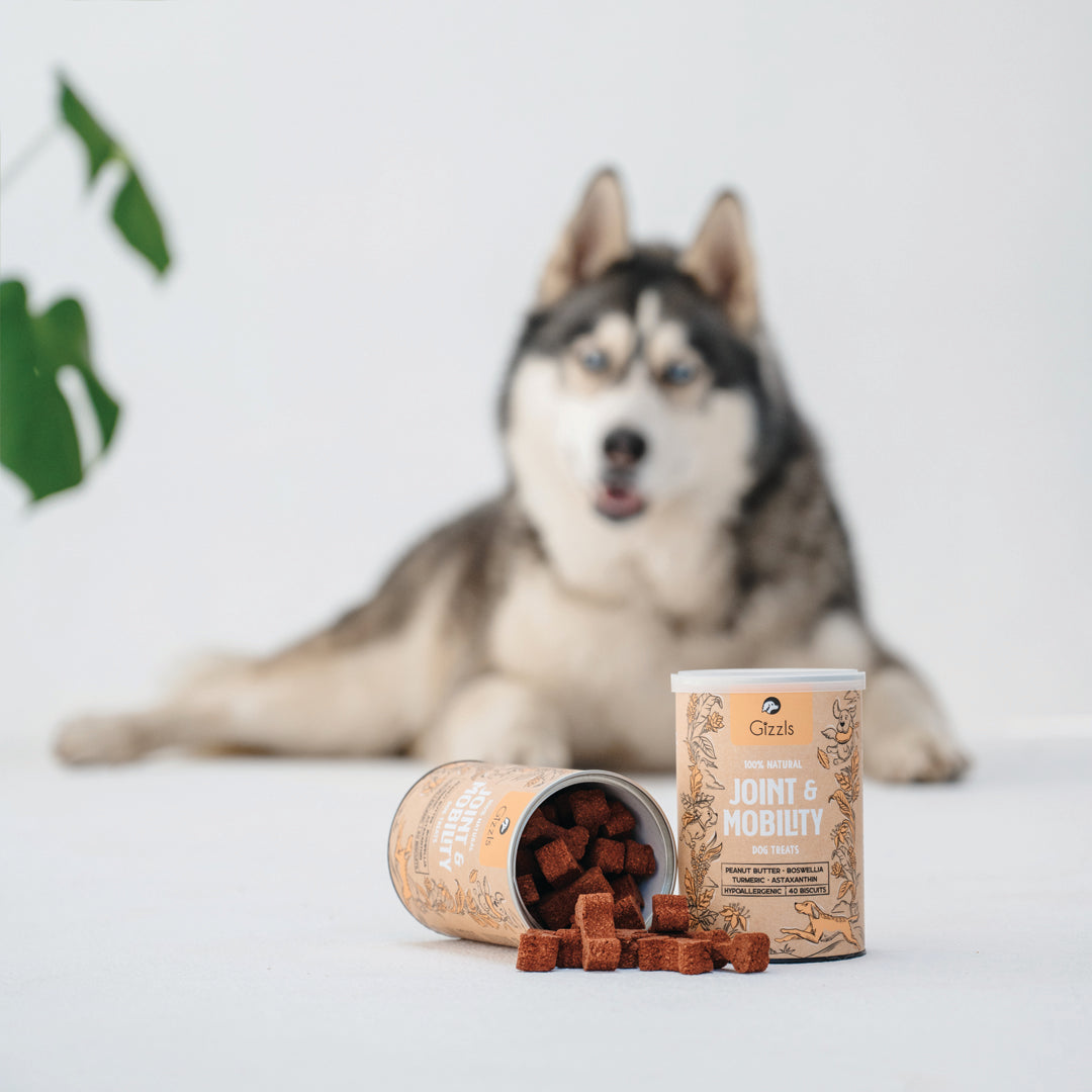 Gizzls 100% Natural Dog Treats for Joint & Mobility
