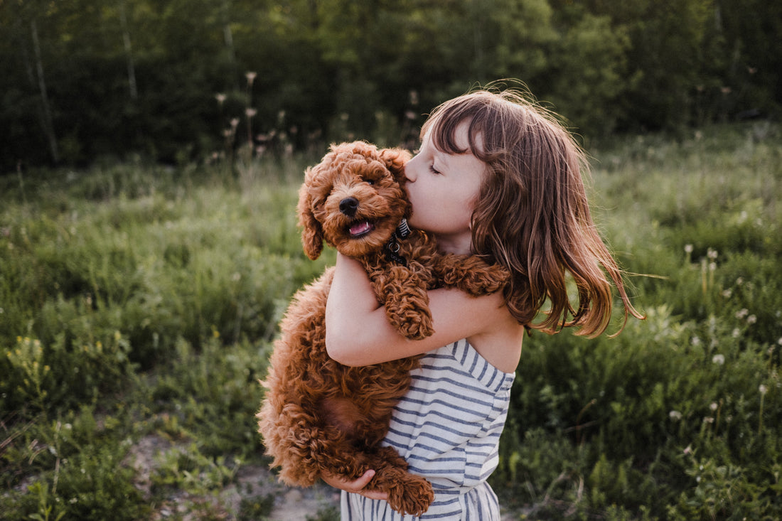 Is my dog anxious? The signs most pet parents miss.
