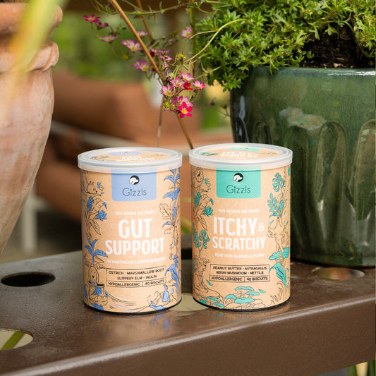 The Itchy Skin & Tummy Bundle