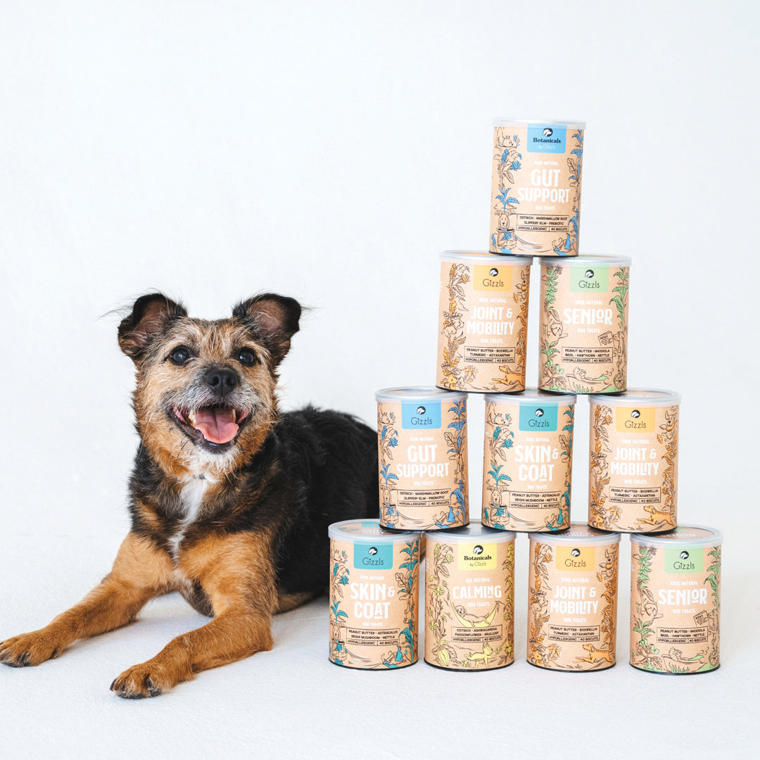Gizzls Calming Dog Treats