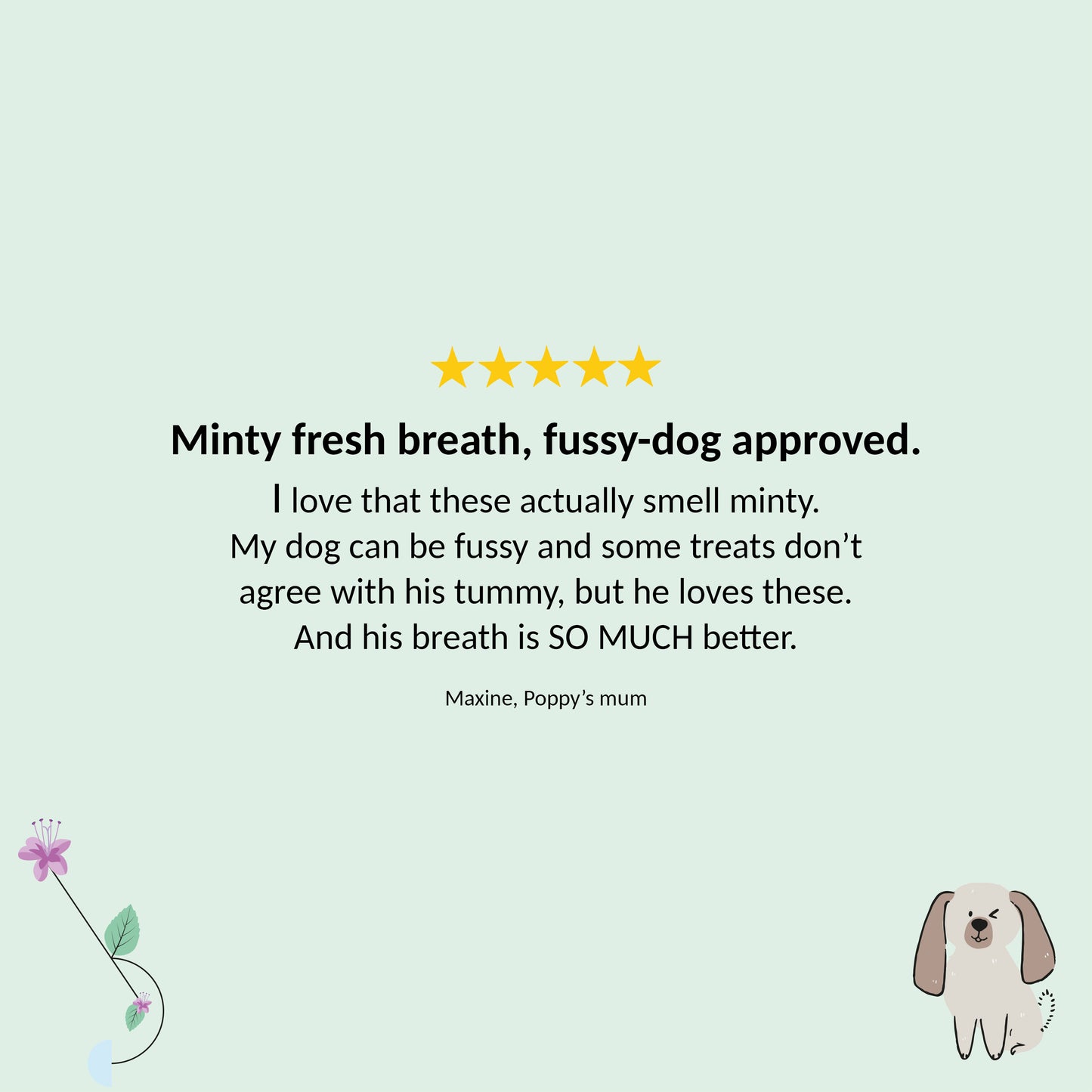 Minty Fresh Big Dog Treats (200g)