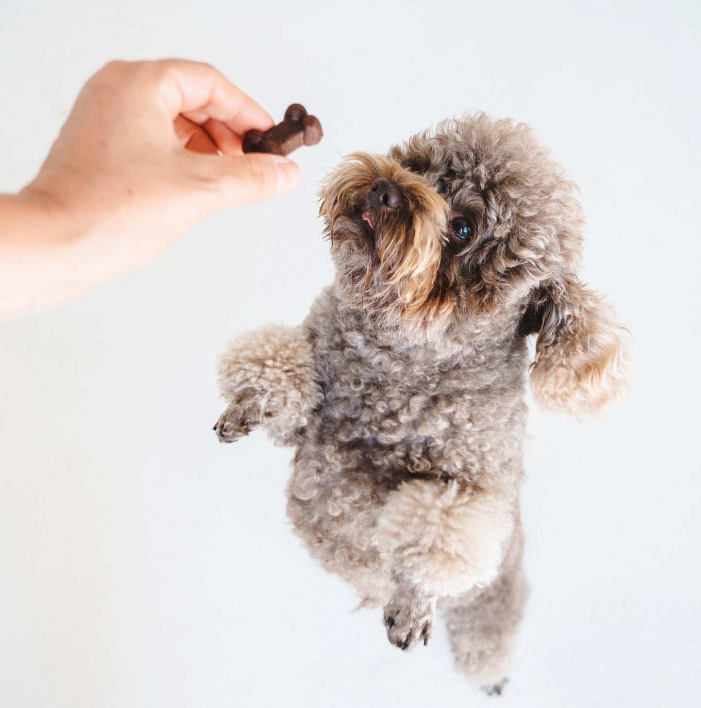 Soft Bites Treat Bundle (2 x 150g) – Save 20%