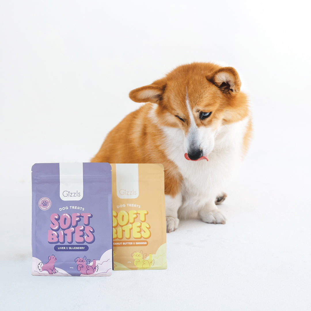 Soft Bites Treat Bundle (2 x 300g) – Save 20%