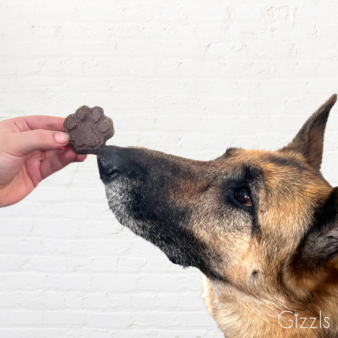 Gizzls Zoomie Bites – Liver & Blueberry Dog Treats
