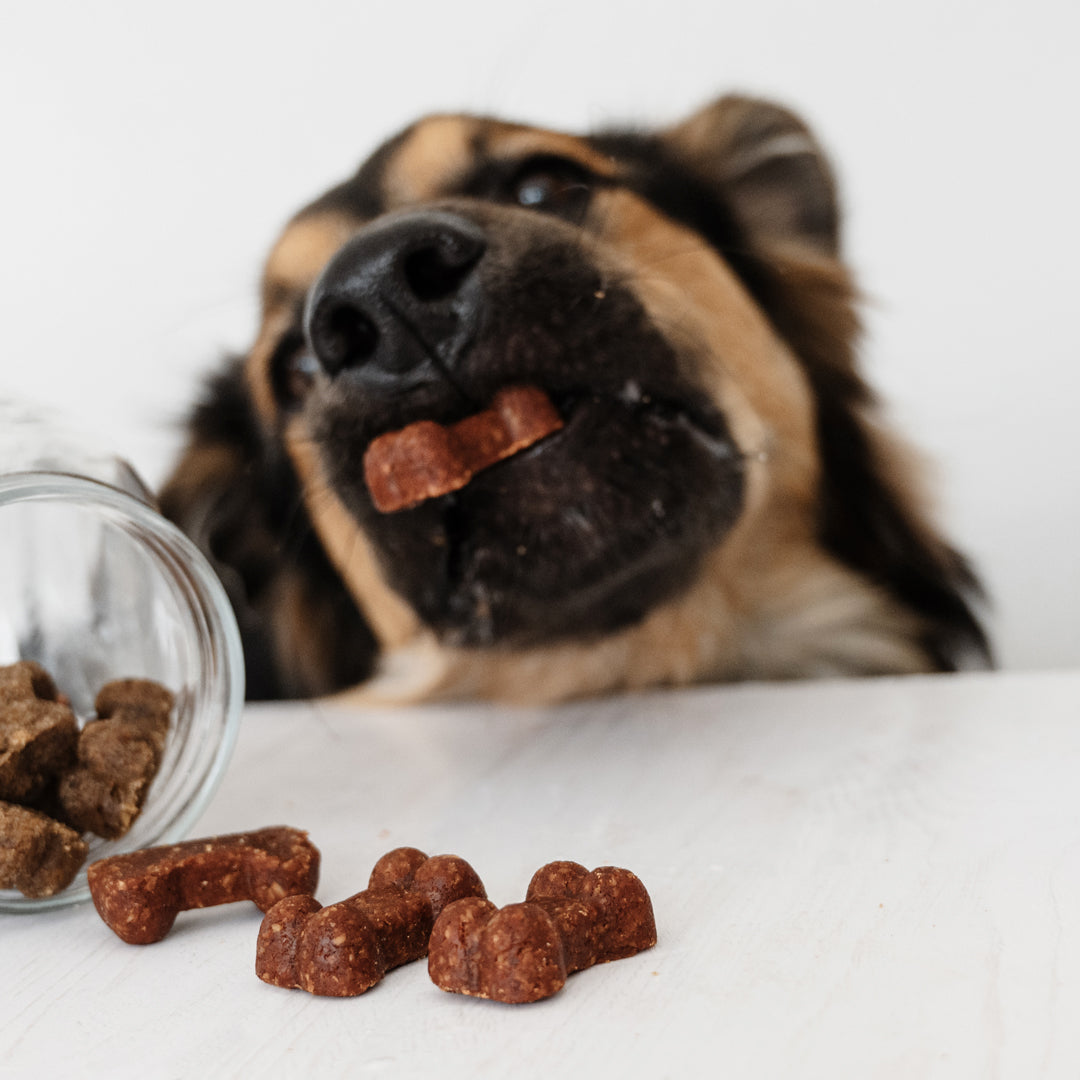 Soft Bites Treat Bundle (2 x 150g) – Save 20%